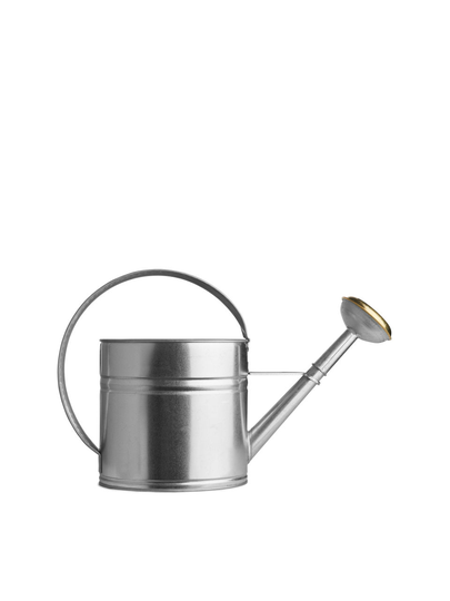 Garden Mind Watering Can 4 L - Silver