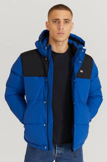 Dickies Pufferjacka Glacier View Coat Blå