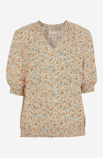 Blus Linn