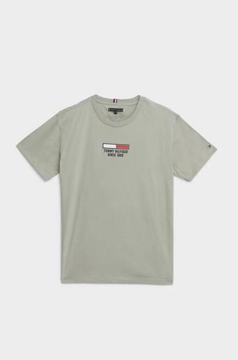 Tommy Hilfiger T-shirt Flag Logo Tee S/S Grå