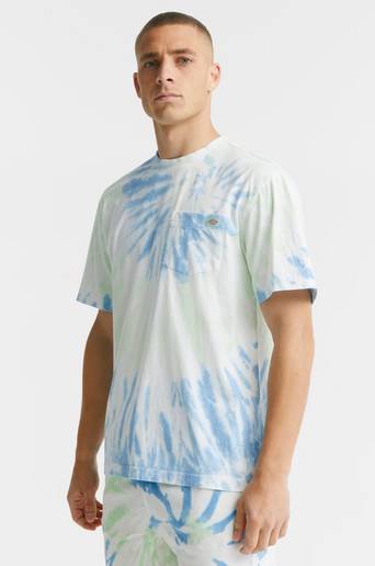 Dickies T-Shirt Seatac Tee SS Grön