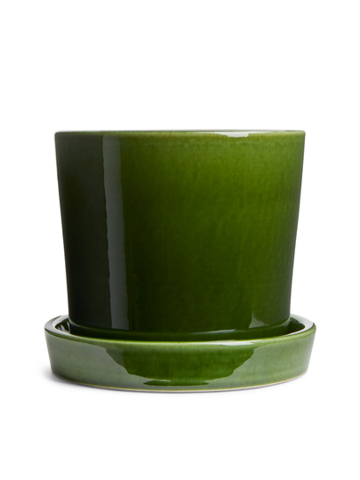 Terracotta Flower Pot 12 cm - Green