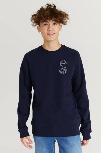 Scotch & Soda Sweatshirt Raglan Artwork Sweatshirt Blå