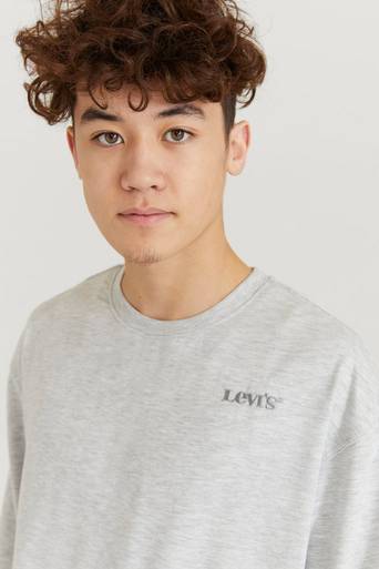 Levi's Sweatshirt LVB Graphic Crewneck Sweatshirt Grå