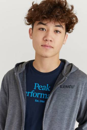Levi's Hoodie LVB Relaxed Core Full Zip Hood Grå